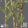 RT-Diorama 35446 Bamboo 1/35